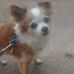 Sheila Derringer - Facebook