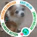 Sheila Derringer - Facebook