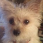 Sheilarae Derringer - @sheilaraederringer - Instagram