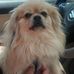 Sheilah Dillingham - Facebook