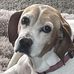 Sheila Dodson - Facebook