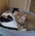 Sheila Dolan - Facebook