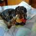 Sheila Dolan - Facebook