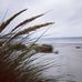 Sheila Doshi - Facebook