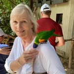 Sheila Drew - @sheiladrew75 - Instagram