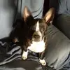 Sheila Drew - @sheila.drew - TikTok