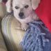 Sheila Dunlap - Facebook