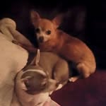Sheila Early Standfield - @standfieldsheila - Instagram