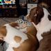 Sheila Echols - Facebook