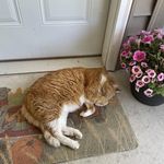 Mark-Sheila Elder - @suandlu76 - Instagram