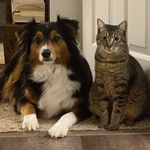 Sheila & Bloke Elder - @sheila.n.bloke - Instagram