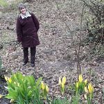 Sheila Bee - @sheilabatchelder22 - Instagram