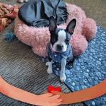 Sheila Eldridge - @eldridge665 - Instagram