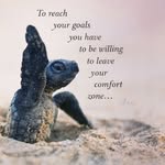 Sheila Embry - @sheila_corys_mom - Instagram