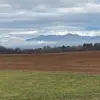 Sheila Kettinger - @sheila.kettinger - TikTok