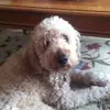 Sheila Everett - @user975915444 - TikTok