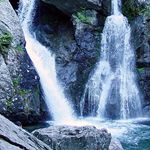 Sheila Farmer - @sheilafarmer1952 - Instagram