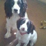 Sheila Farmer - @farmer_sheila - Instagram