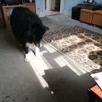 Sheila Farmer - @sheila.farmer.1217 - Instagram