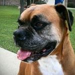 Sheila Farmer Bentley - @jettjett1 - Instagram