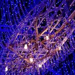 Sheila Floyd - @grupusincepcio768 - Instagram