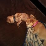Sheila Floyd - @sheilafloyd45 - Instagram