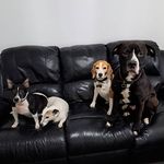 Sheila Forrest - @sheilaforrest1965 - Instagram