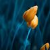 Sheila Gaither Vaughan - Facebook