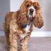 Sheila Gammon - Facebook