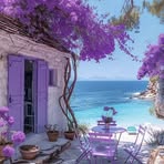 Sheila Frankfurt - Facebook