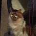 Sheila Glaser - Facebook