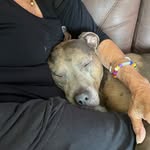 Sheila Gold - @memom0638 - Instagram