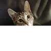 Sheila Graf - @user5260291903086 - TikTok