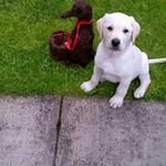 Sheila Gregson - @maygregsongmail_ - Instagram