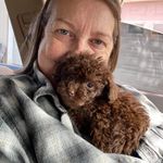 Sheila Long Grider - @sheila_long_grider - Instagram