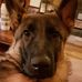 Sheila Griffin - Facebook