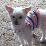 Sheila Haberman - @shaberman55309 - Instagram