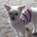 Sheila Haberman - Facebook