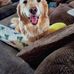 Sheila Haberman Arcaro - Facebook