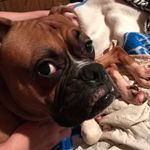 Sheila Hackworth - @sheilaconn1028 - Instagram