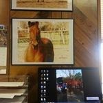 Sheila Hahn - @ridingwhiskey - Instagram