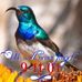Sheila Hahn - Facebook
