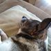 Sheila Hamel - Facebook