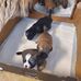 Sheila Hamel - Facebook
