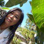 Sheila Hammet - @sheilahammet - Instagram