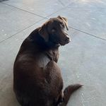 Sheila Haney - @woodcoxsheila - Instagram