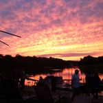 Sheilahaney - @sheila_haney - Instagram