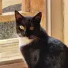 Shelia Haney - @shelia.haney - TikTok
