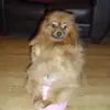 Sheila harry - @sheila.harry - TikTok