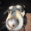 sheila harter - @shea.harter - TikTok